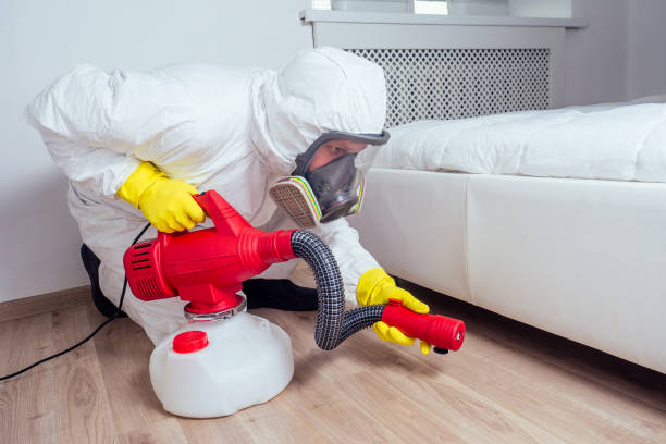 Best Bed Bug Extermination  in Moodus, CT