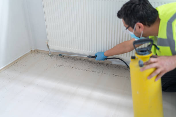 Best Pest Control Treatment  in Moodus, CT